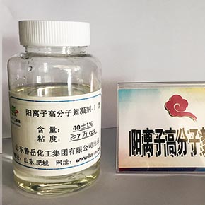 Cationic polymer flocculant